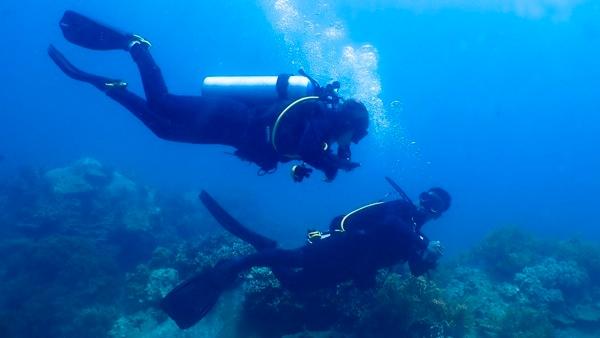 Cô gái 23 tuổi lặn biển ở độ sâu 15m khám phá thú vị của đại dương