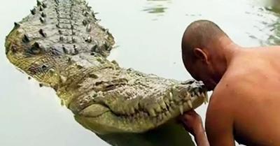 Thực hư chuyện ngôi đền Ấn Độ nuôi được cá sấu 'ăn chay'