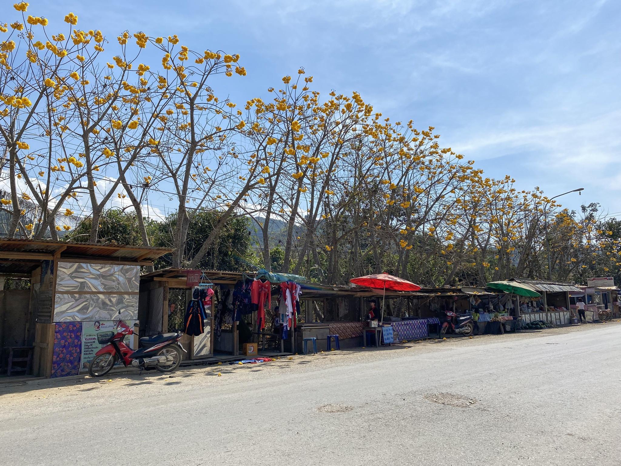 Chợ tạm trên con đường từ Xầm Nưa đi Vàng Viêng.
